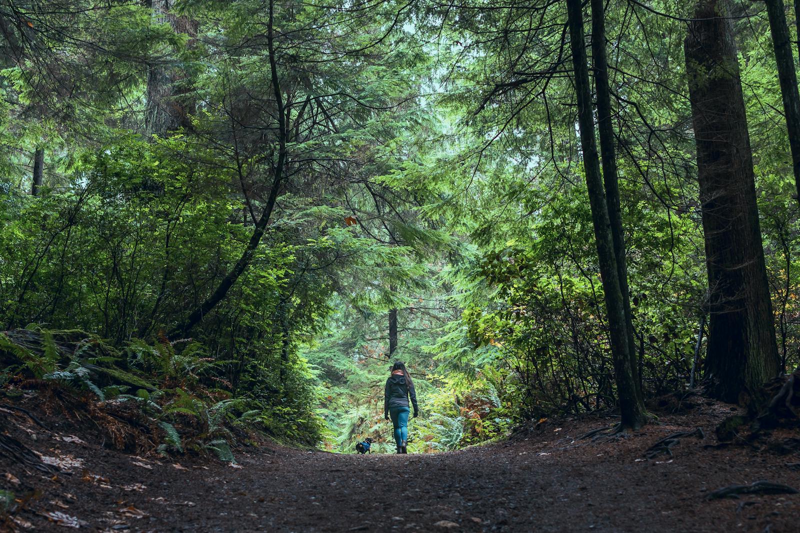 Caminar y reflexión en la naturaleza